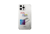 ASAI13P-02-1