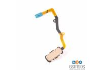 products_sunc_541649_1769732812_1
