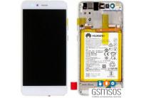 white_500865367