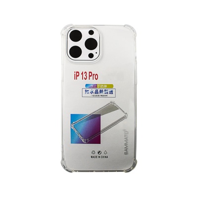 ASAI13P-02-1