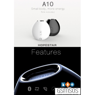a10